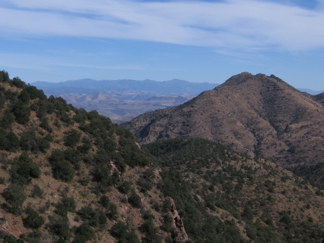 view east from frye trail.JPG